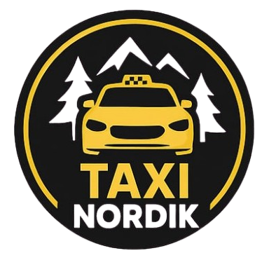 Taxi Nordik logo